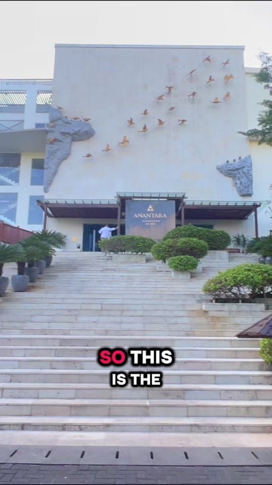 Post 1 by Lisa Nicole on TikTok (video)