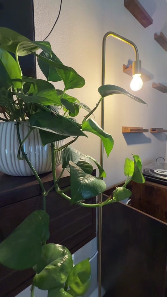 Post 3 by GMVNZO on TikTok (video)