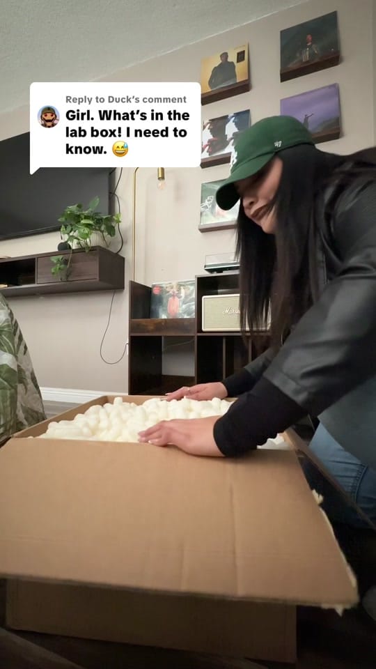 Post 6 by GMVNZO on TikTok (video)
