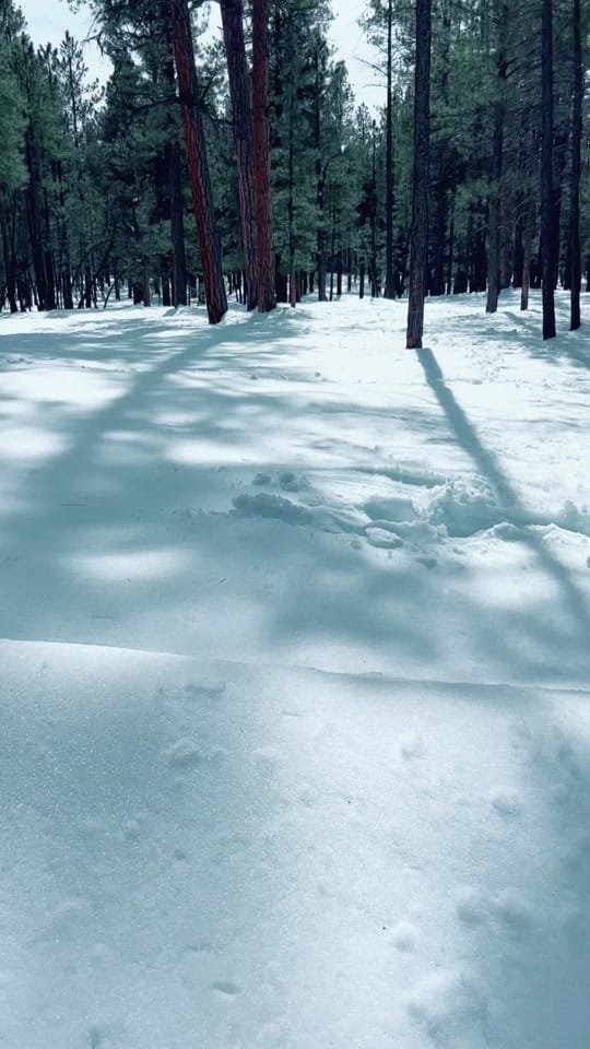 Post 4 by Plinio Gutierrez V on TikTok (video)
