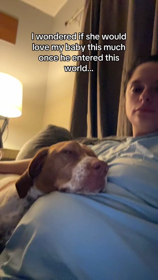 Post 6 by Caitlyn Hobson on TikTok (video)