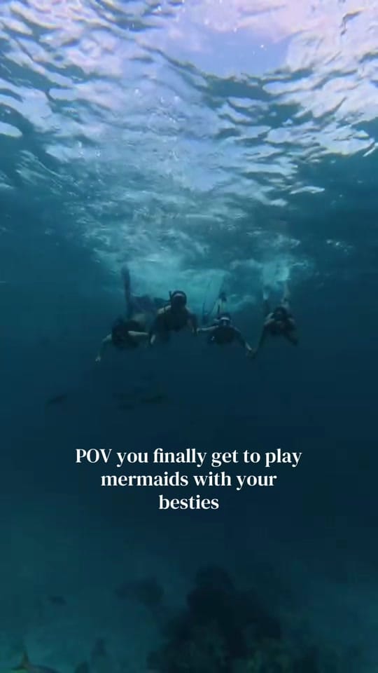 Post 1 by Caitlyn Hobson on TikTok (video)