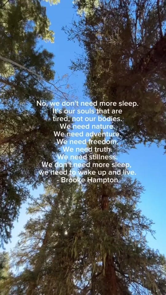 Post 6 by Susie Prone To Wander on TikTok (video)