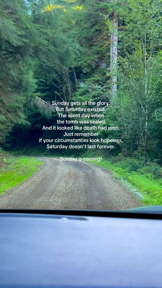 Post 2 by Susie Prone To Wander on TikTok (video)