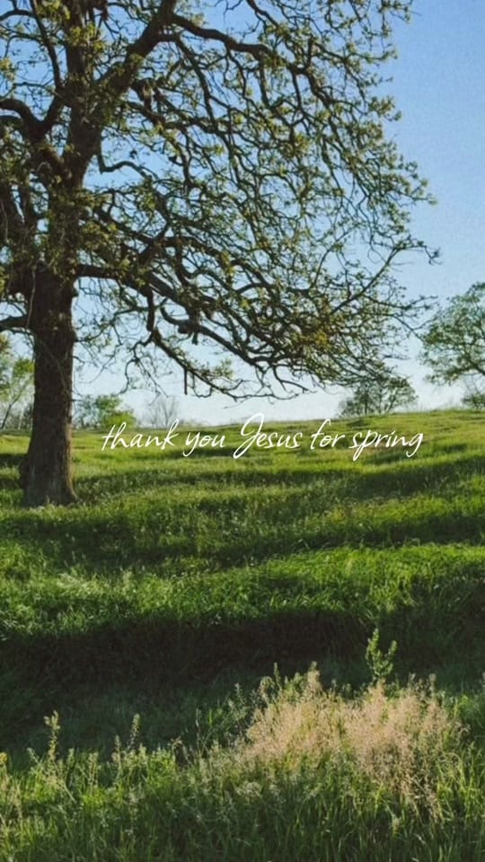 Post 2 by EMMA HOLDEN | photog + fashion on TikTok (video)