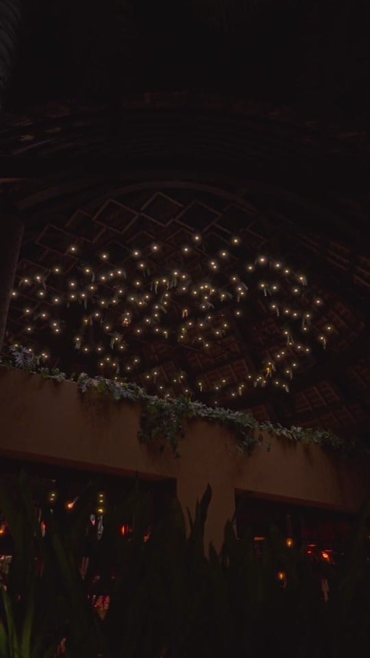 Post 7 by Maria Whitsett on TikTok (video)