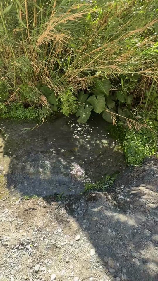 Post 4 by Cristy Rodriguez on TikTok (video)