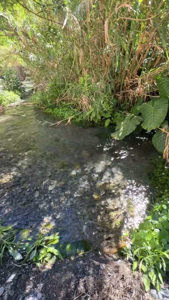 Post 3 by Cristy Rodriguez on TikTok (video)