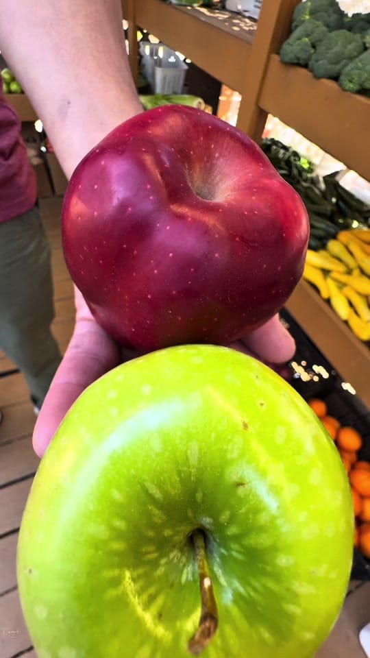 Post 8 by Curated Taste on TikTok (video)