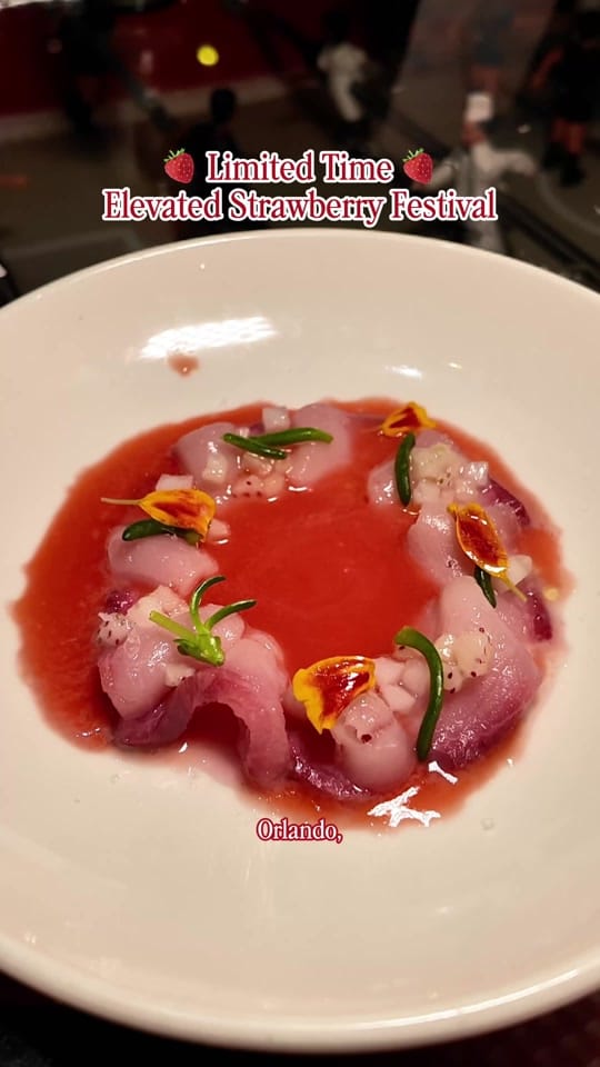 Post 5 by Lauren | Orlando Blogger on TikTok (video)