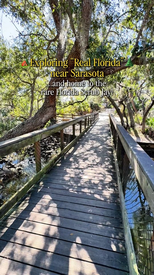 Post 7 by Lauren | Orlando Blogger on TikTok (video)