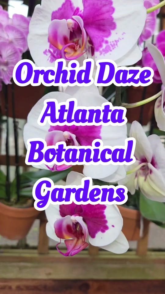 Post 1 by Melao🇧🇸🇨🇺♒ on TikTok (video)