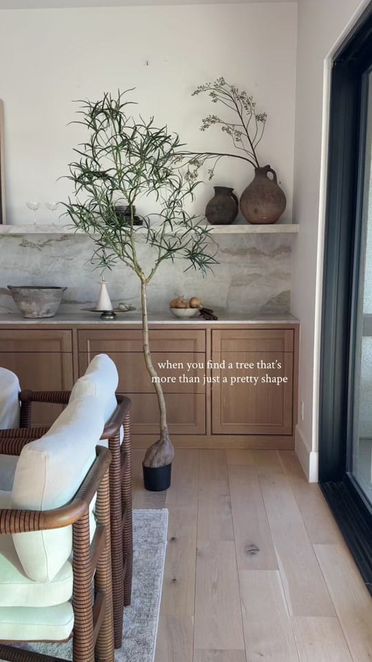 Post 5 by Karlibree on TikTok (video)