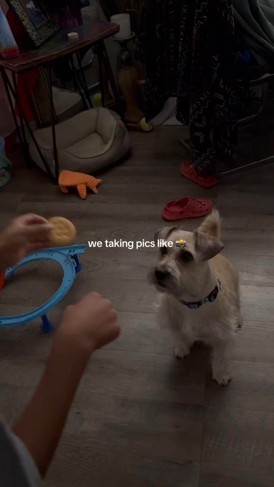 Post 3 by Alison Rae on TikTok (video)