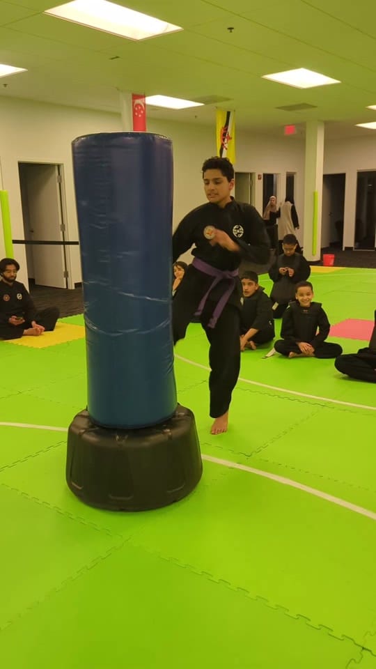 Post 2 by Silat USA on TikTok (video)
