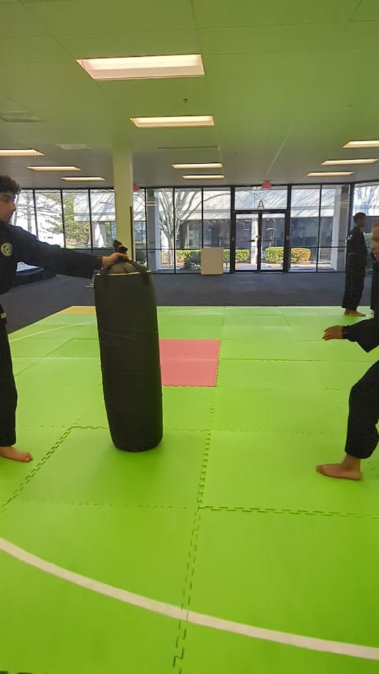 Post 5 by Silat USA on TikTok (video)