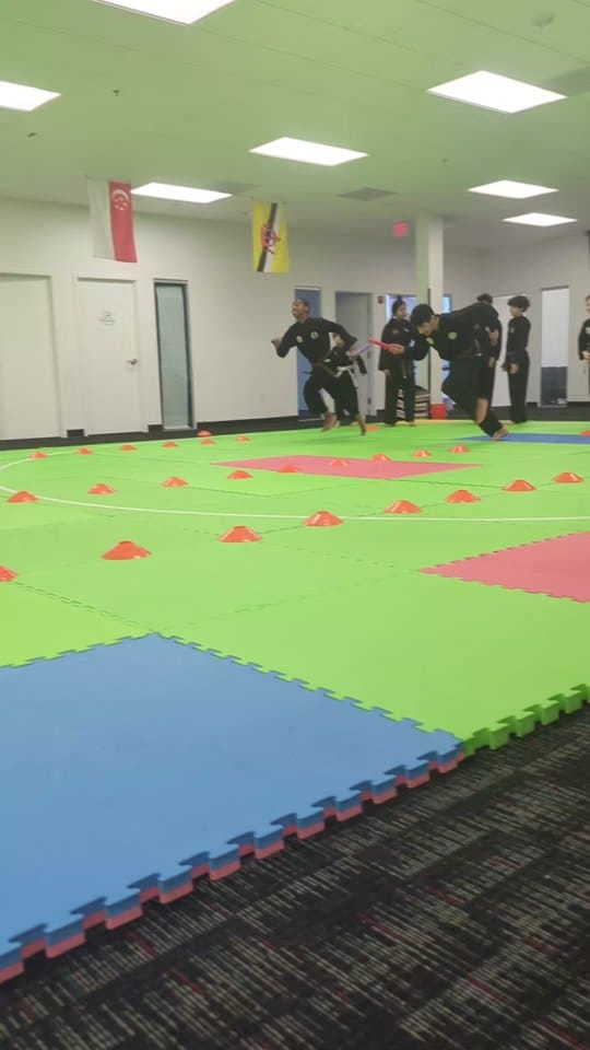 Post 6 by Silat USA on TikTok (video)