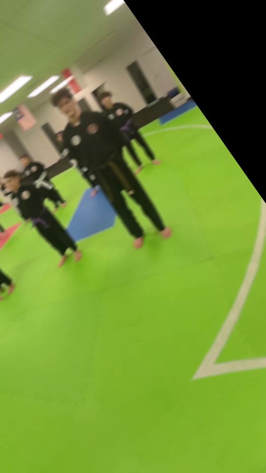 Post 3 by Silat USA on TikTok (video)