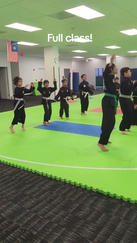 Post 7 by Silat USA on TikTok (video)
