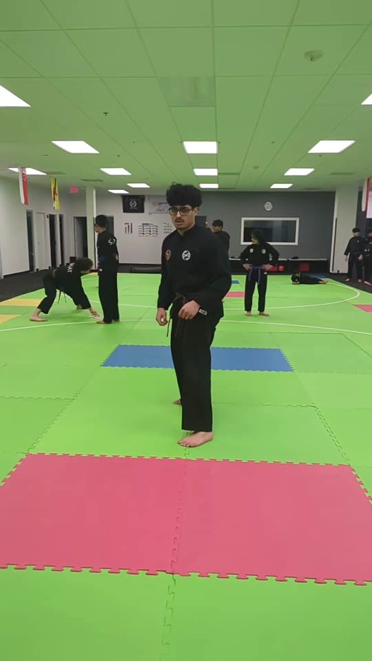 Post 8 by Silat USA on TikTok (video)
