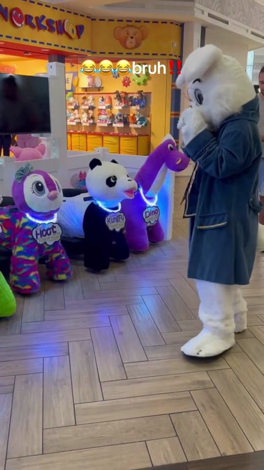 Post 3 by nikaxthenoelgang on TikTok (video)