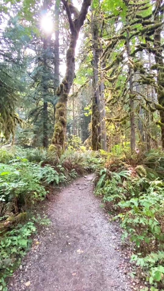 Post 7 by eagertravele on TikTok (video)