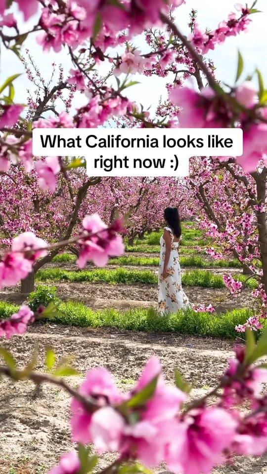 Post 2 by eagertravele on TikTok (video)