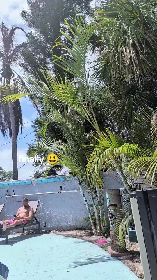 Post 2 by Stephanie 🌻 on TikTok (video)