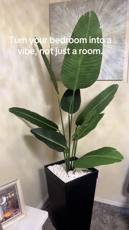 Post 10 by Royalisthair on TikTok (video)