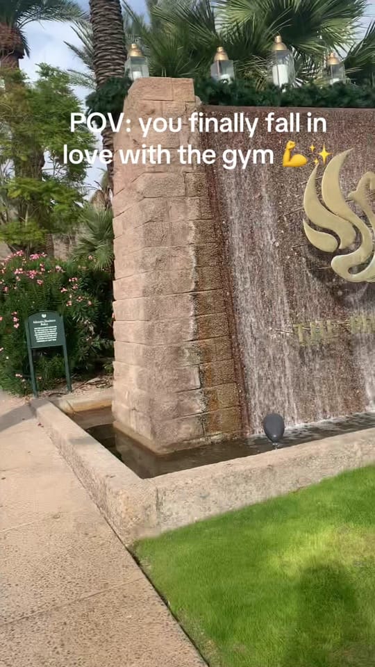 Post 5 by Royalisthair on TikTok (video)