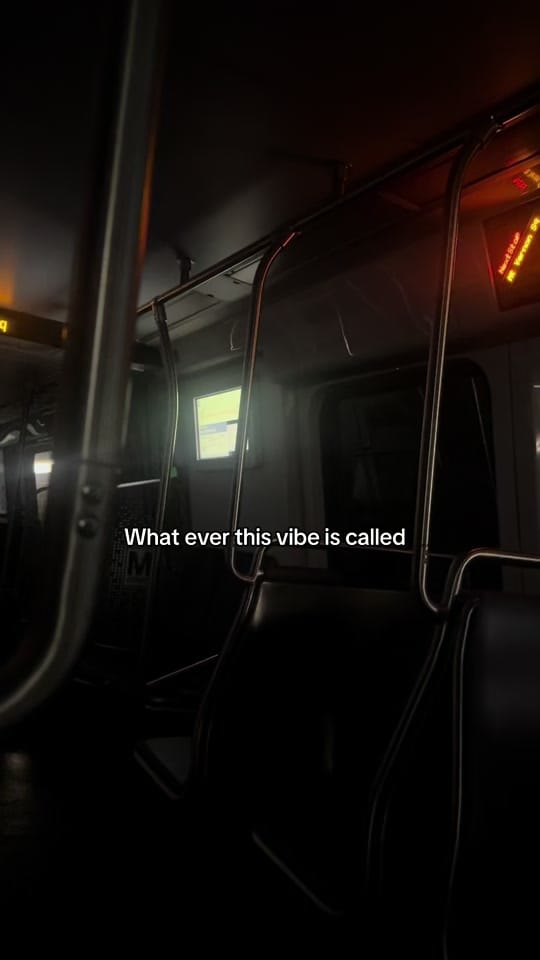 Post 8 by NevesFit on TikTok (video)