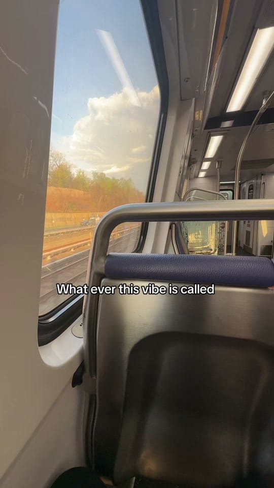 Post 1 by NevesFit on TikTok (video)