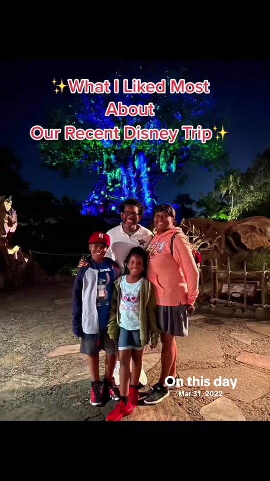 Post 1 by Korliss|PhD✌🏾 on TikTok (video)