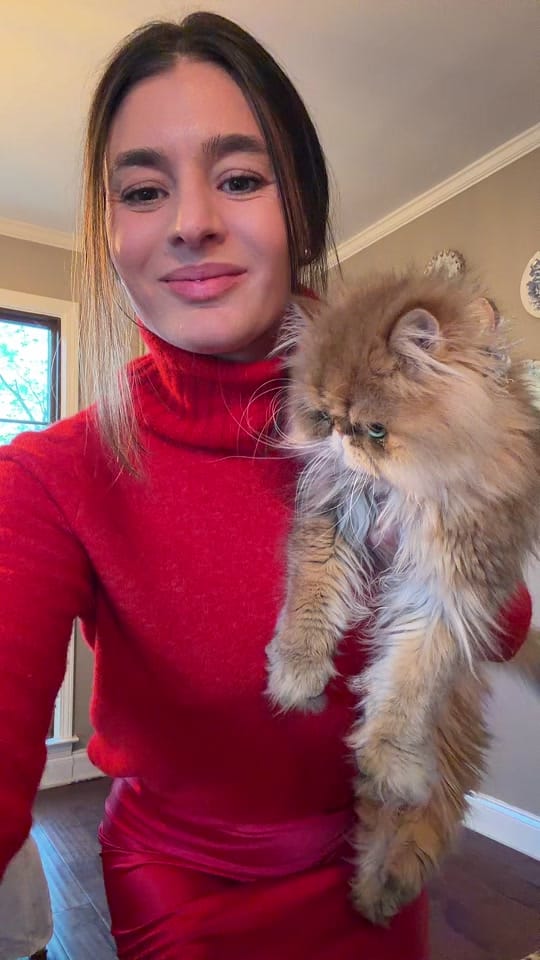 Post 3 by kristintiffiny on TikTok (video)