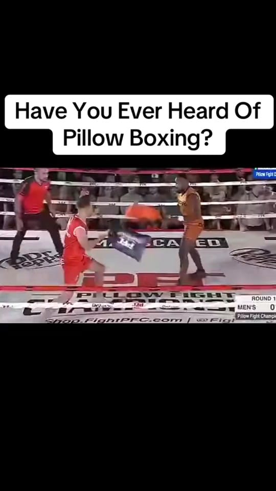 Post 5 by Komodo Bloodsport on TikTok (video)