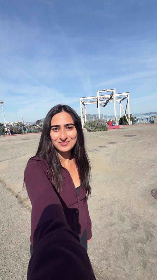 Post 2 by Vruti Chokshi on TikTok (video)