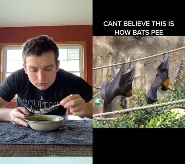 Post 3 by Carter J Koval on TikTok (video)