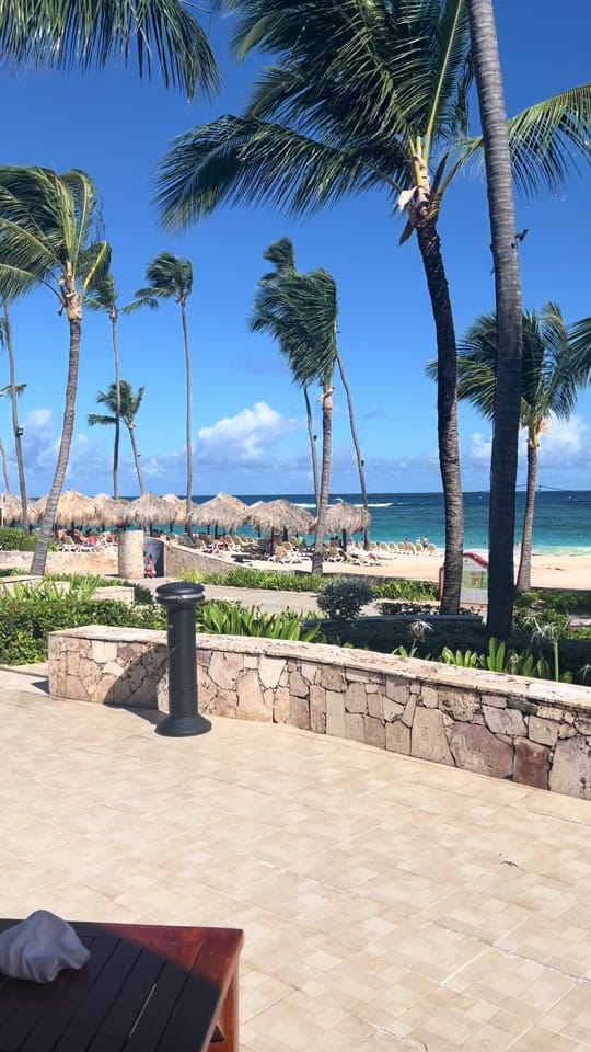 Post 3 by Florida Food Fun on TikTok (video)