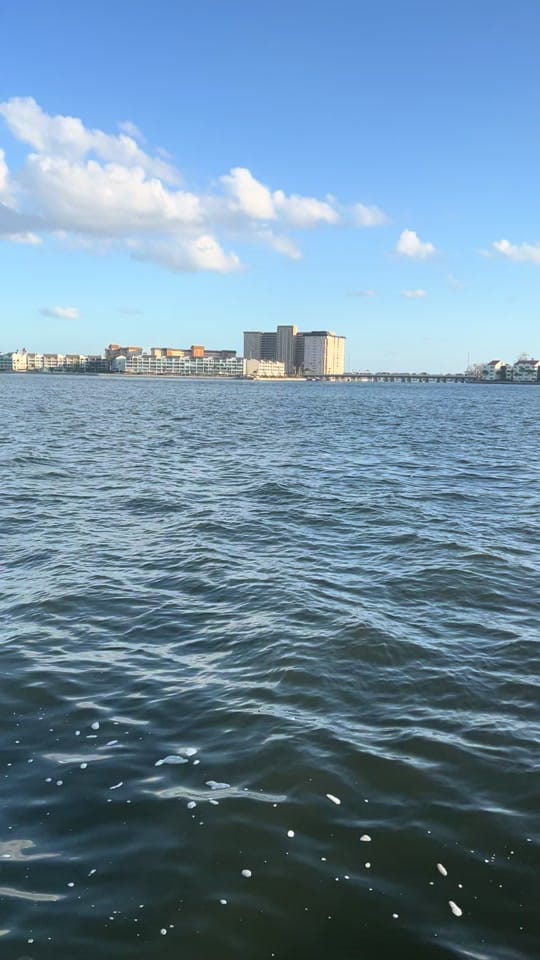 Post 7 by Florida Food Fun on TikTok (video)