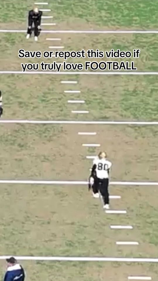 Post 1 by Logan Mobelini on TikTok (video)