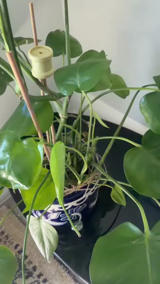 Post 2 by heennaversel on TikTok (video)