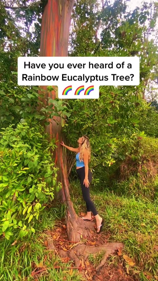 Post 8 by Bradee on TikTok (video)