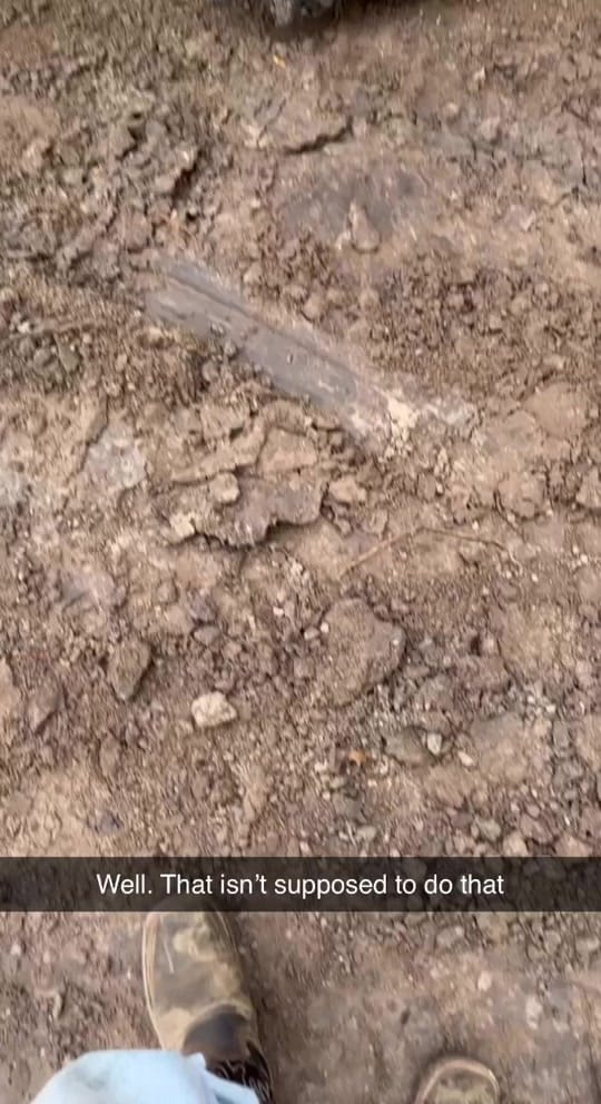 Post 7 by brantlee.carter25 on TikTok (video)