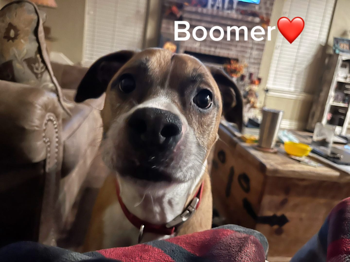 Post 5 by brantlee.carter25 on TikTok (video)