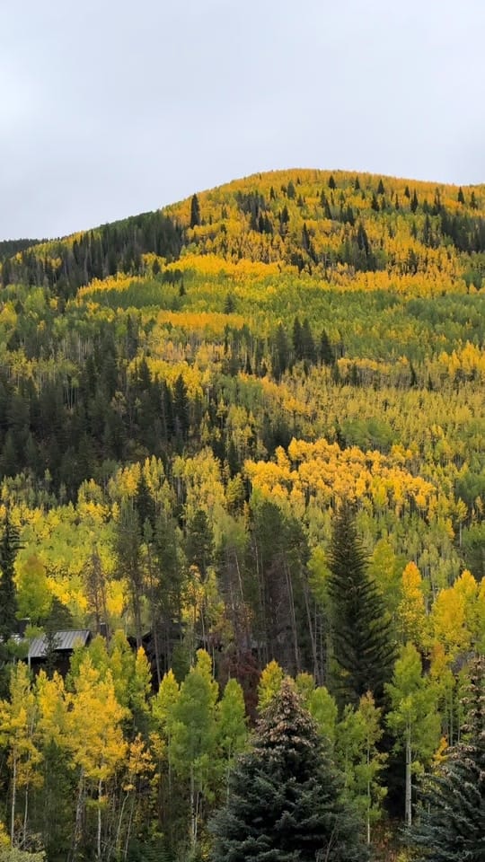 Post 5 by Caitlin | Hiker + Photographer on TikTok (video)