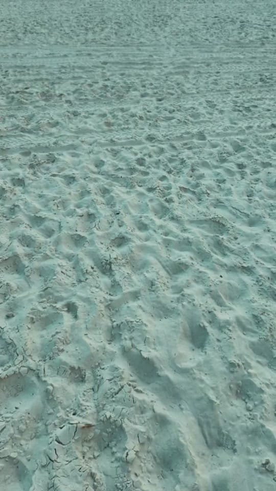 Post 5 by Luke George on TikTok (video)