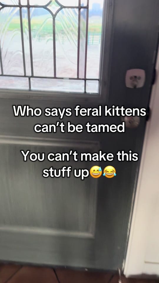 Post 9 by Kristin | Fitness & Farm on TikTok (video)