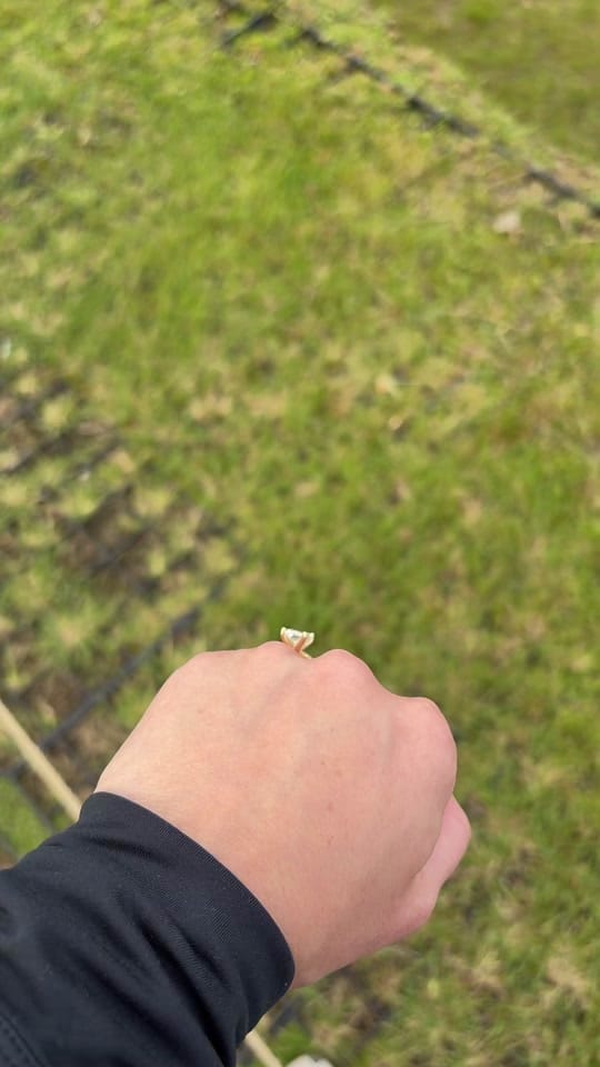 Post 3 by Sarah Fuller on TikTok (video)