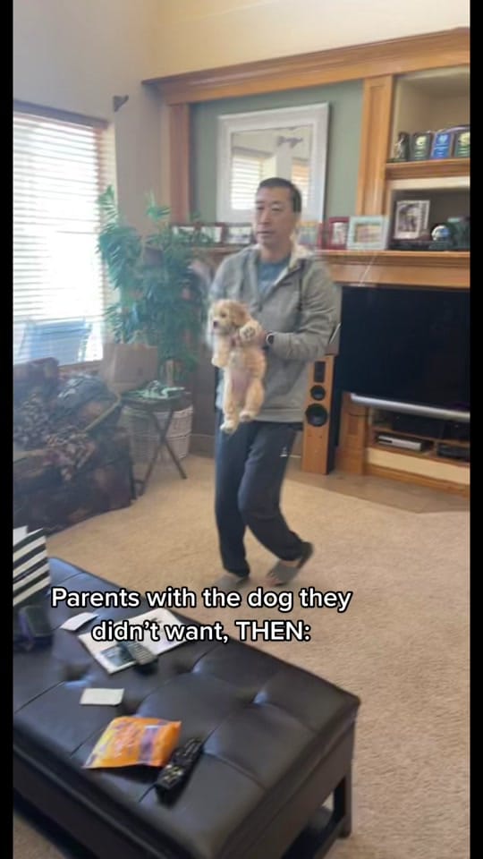 Post 8 by Lindseyjeats on TikTok (video)