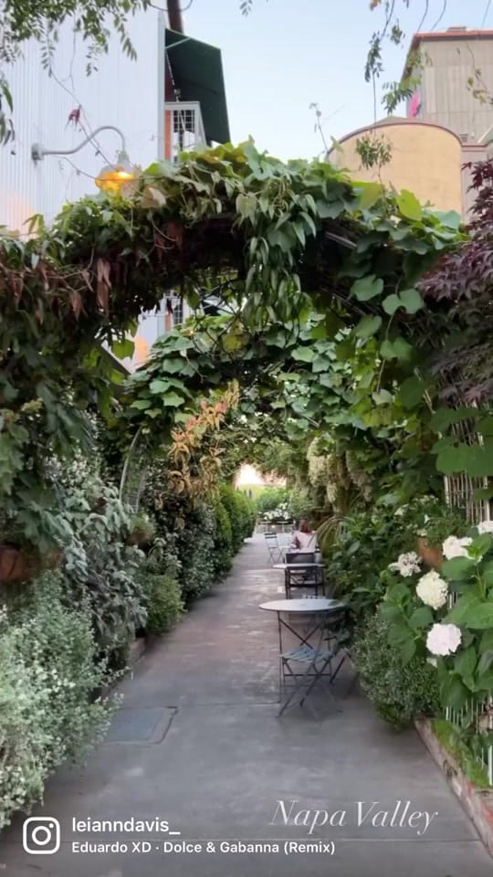 Post 4 by Leiann | Wellness +Travel on TikTok (video)